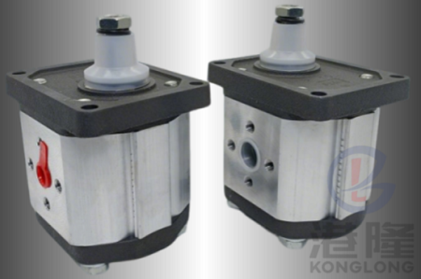 CAPRONI齒輪泵00/10/20/30系列規(guī)格、參數(shù)